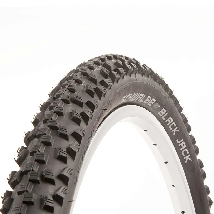 Schwalbe Black Jack Tire 1