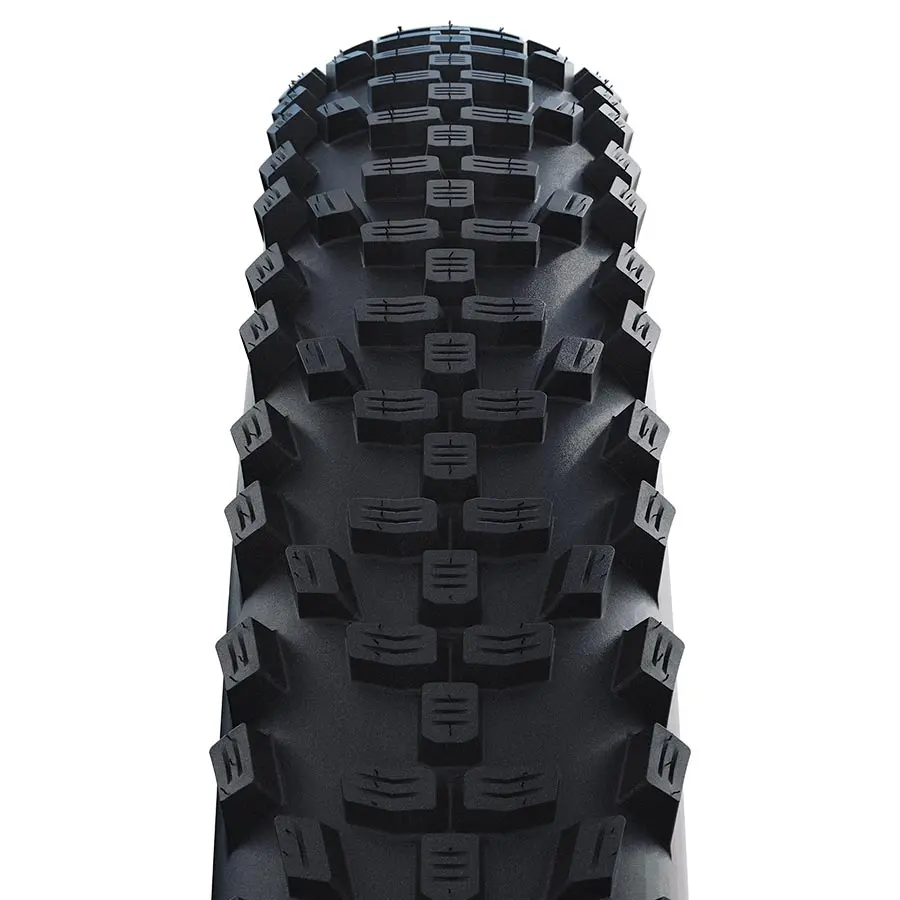 Schwalbe Smart Sam Tire (20 Inch) 1