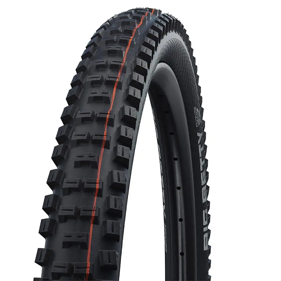 Schwalbe Big Betty Tire 2