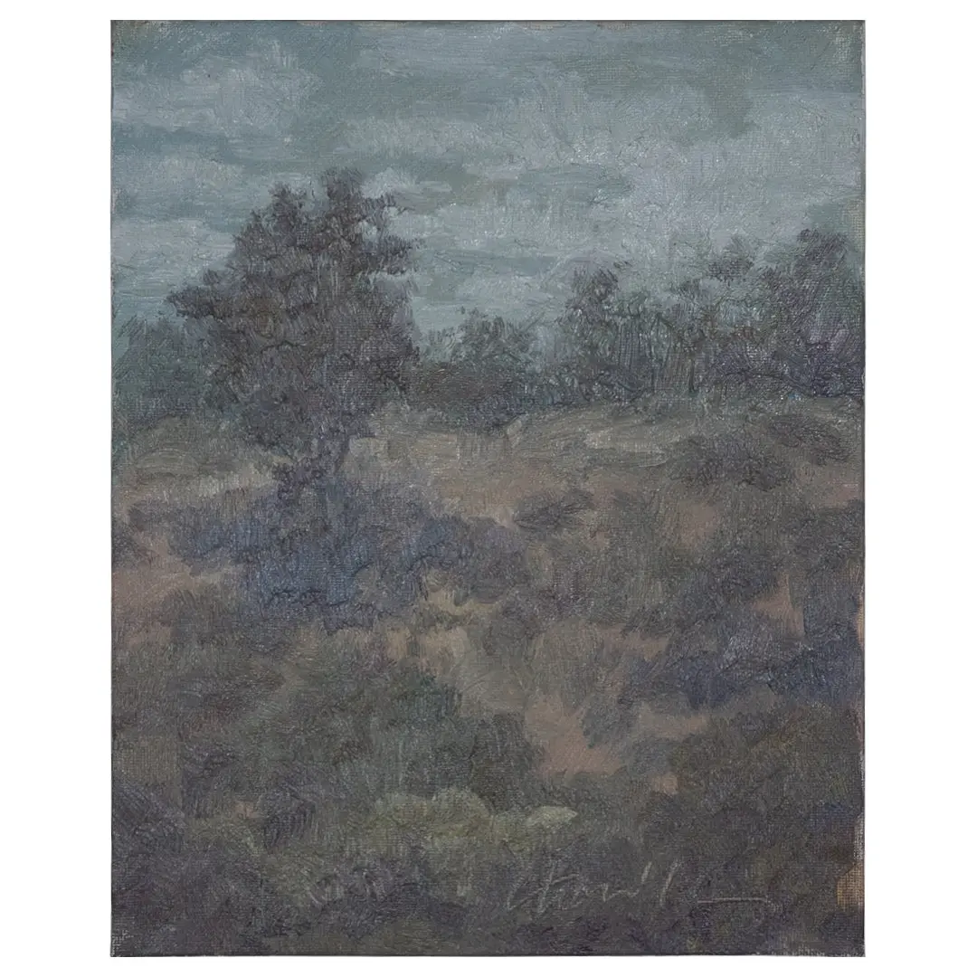 Subtle Oak Field 1