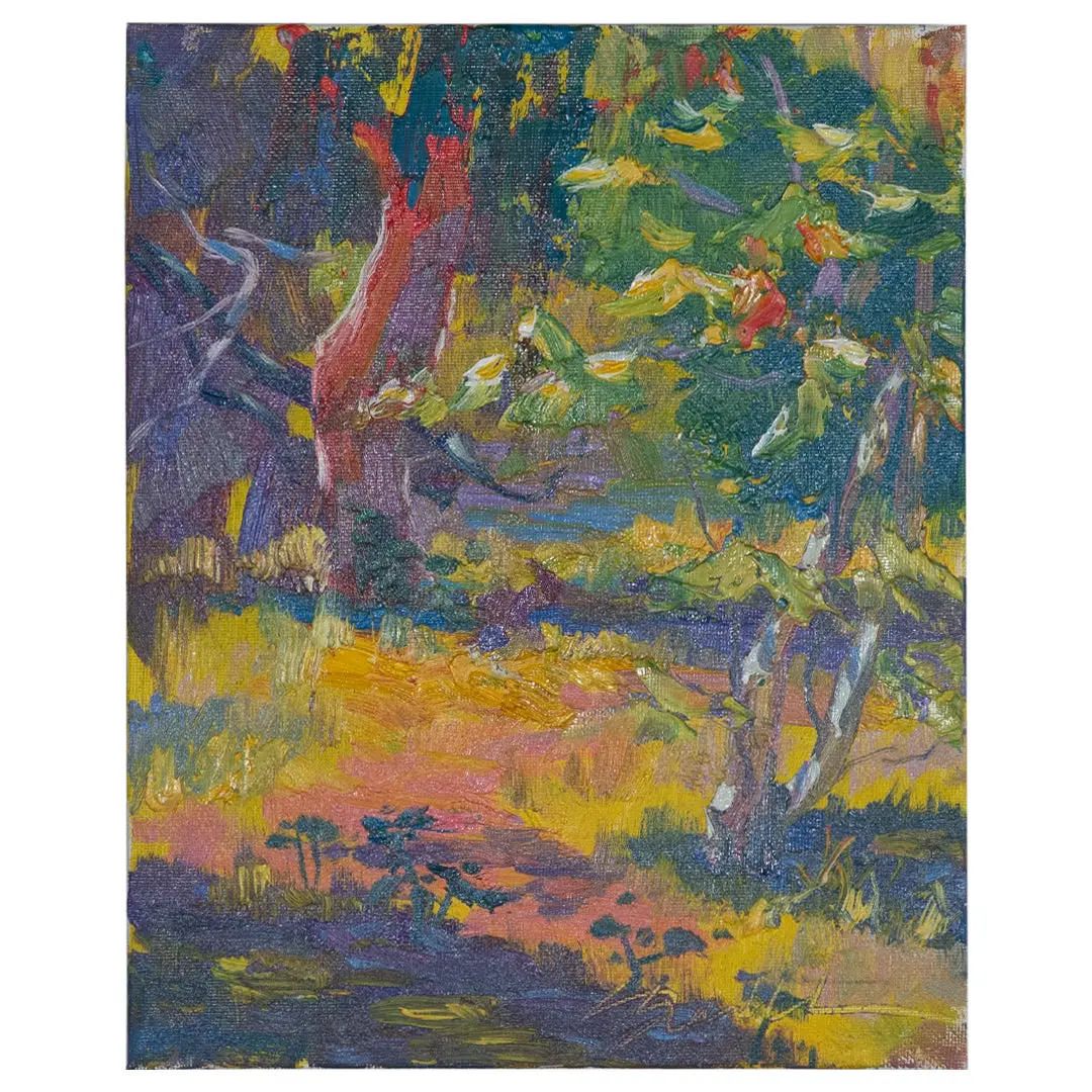 Arroyo Dappled Light 1