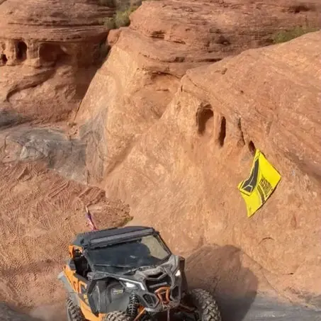 Infinite Offroad (Utv) - Rgb+W Rock Light & Whip Bundle 10