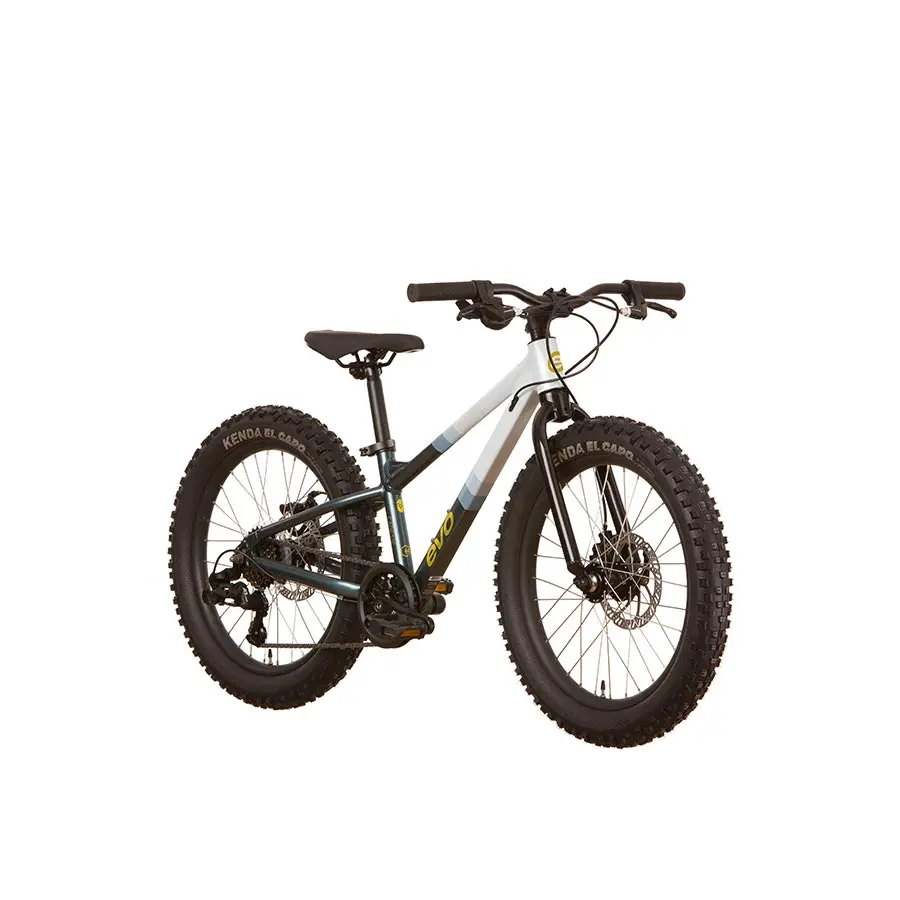 Evo Cadet 20 Bike 7-Speed 1