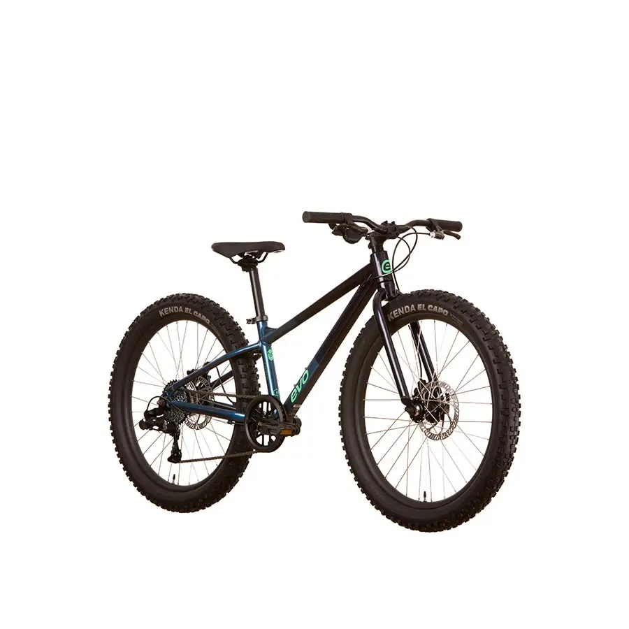 Evo Cadet 24 Bike 7-Speed 1