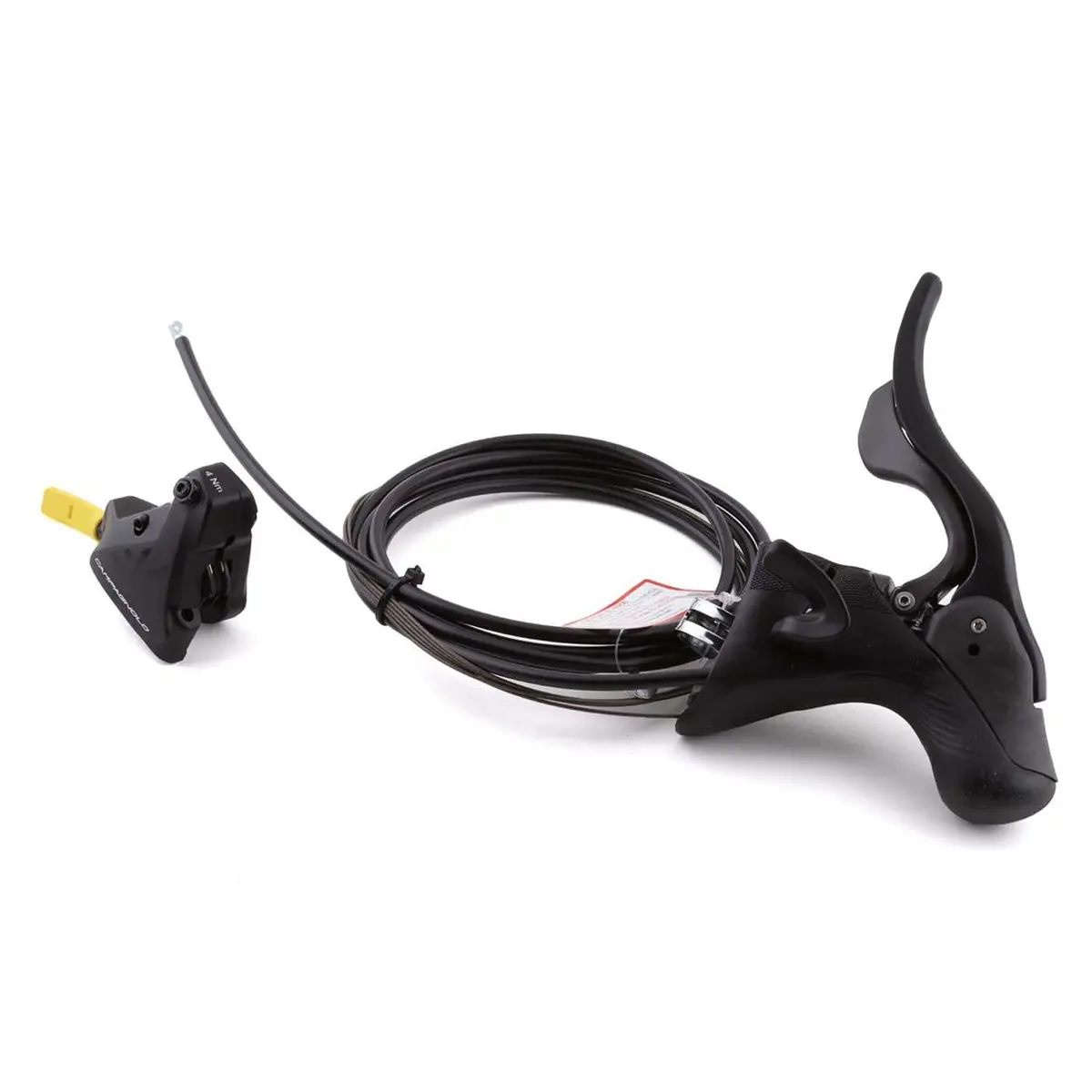 Campagnolo Ekar Right Rear Shifter 13 Sp F/140Mm P21-Ekd13r4 1