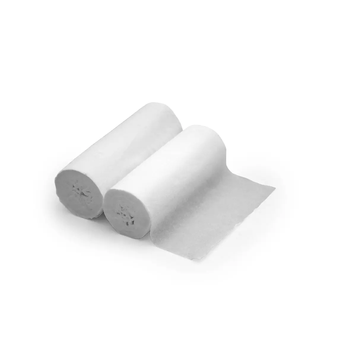 Coghlan's Toilet Tissue - 2 Pack 1