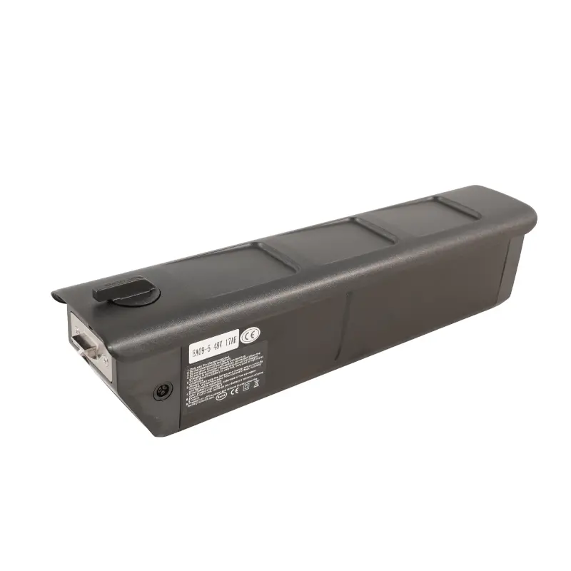 Mamba Ds Double Strike E-Bike Battery 1