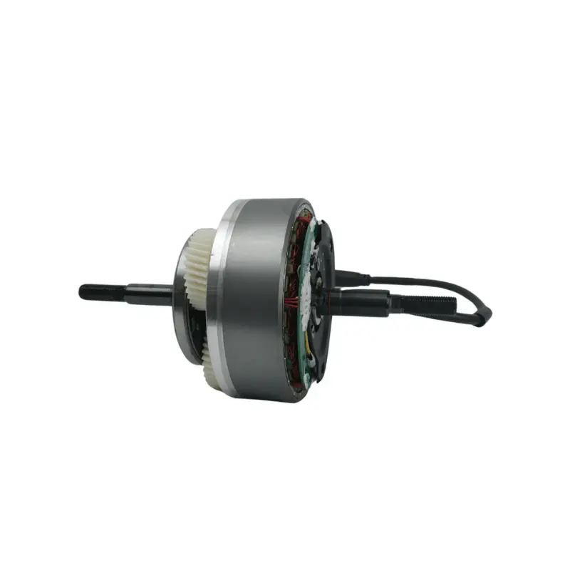 Mamba Sahara Motor Core 48V 1