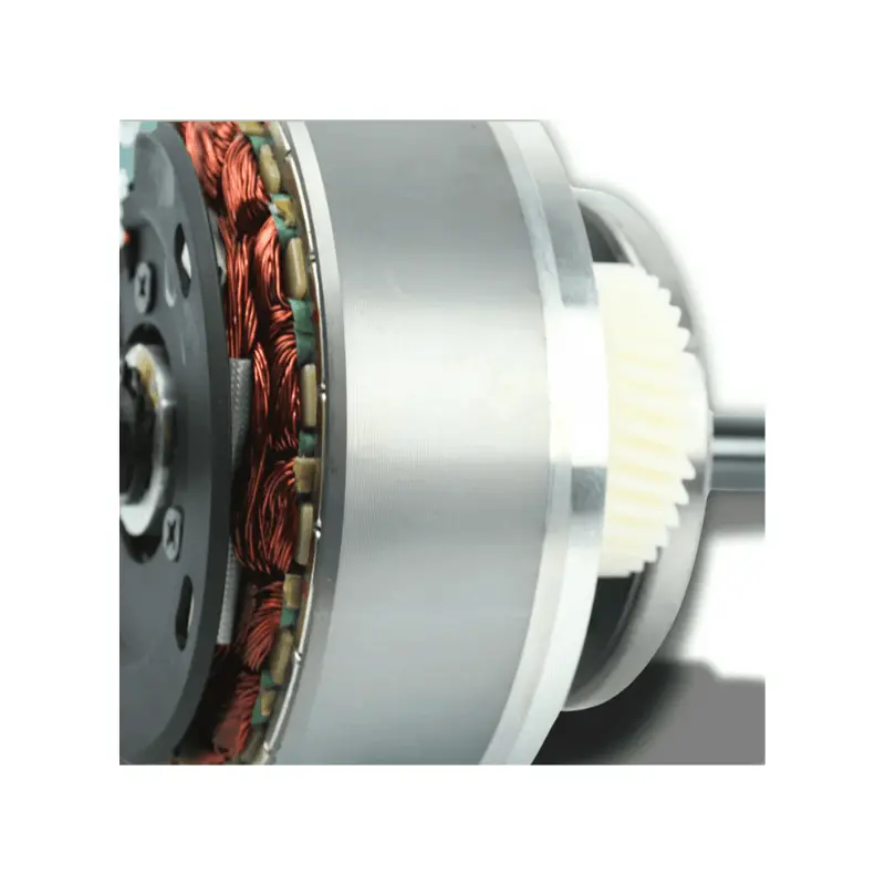 Mamba Sahara Motor Core 48V 2