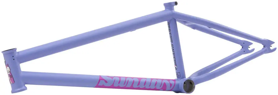 Sunday Sweeper Frame for Urban Cleaning