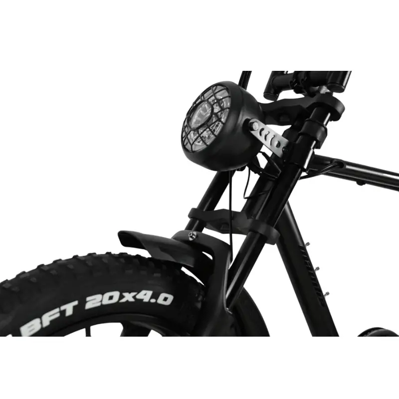 Front Fork Suspension For Mamba Electric Bike 1
