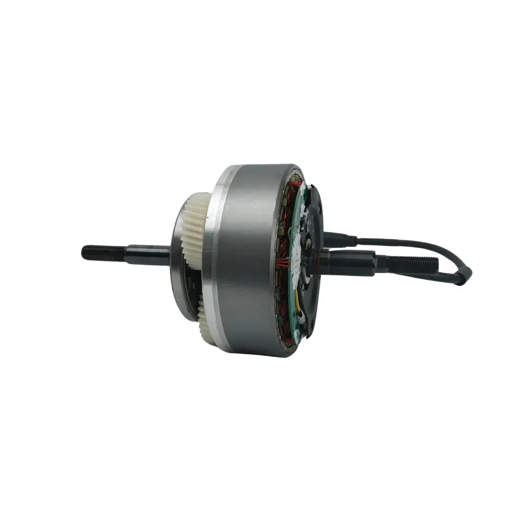 Mamba & Kristall Ebike Motor Core 1