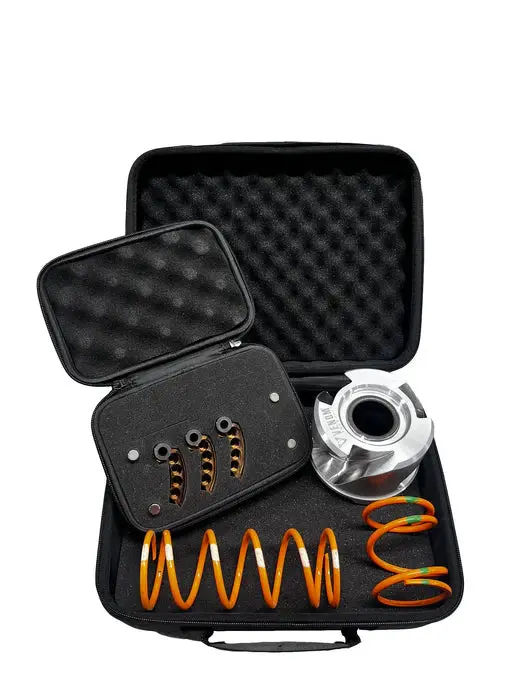 Pro R Clutch Kit By Ibexx 1