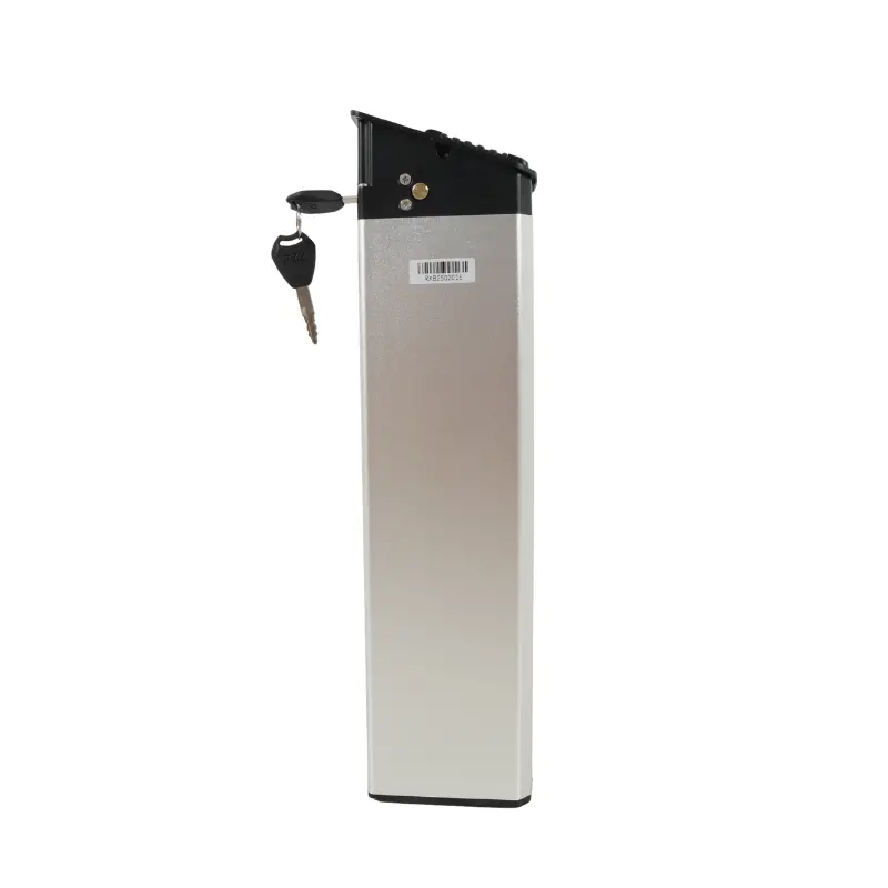 Kristall Rx20 E-Bike Battery 1