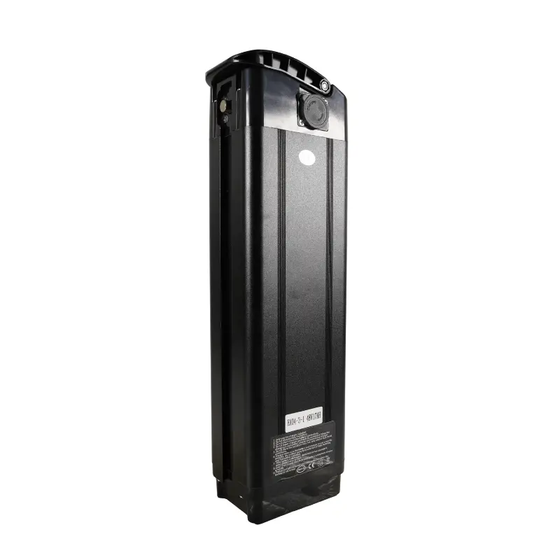 Kristall Y20 (Oasis) E-Bike Battery 1