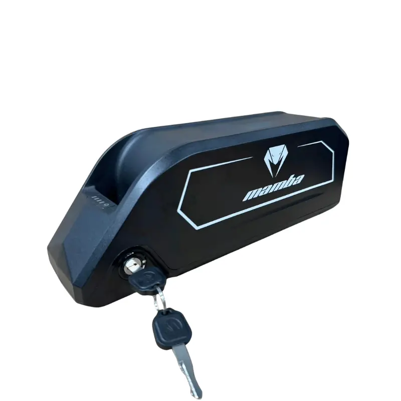 Mamba Dueler Dallas E-Bike Battery 1