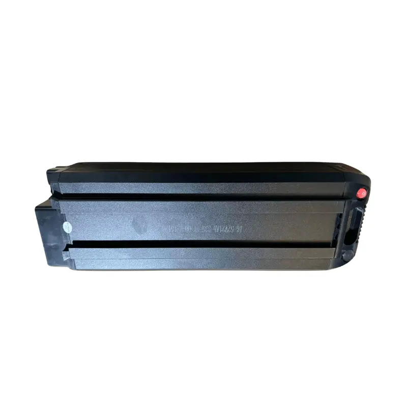 Mamba Kalahari E-Bike Battery 1