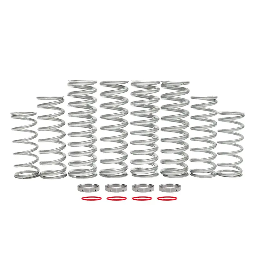 Shock Therapy Polaris Rzr Xp (2024) Dual Rate Spring Kit 1