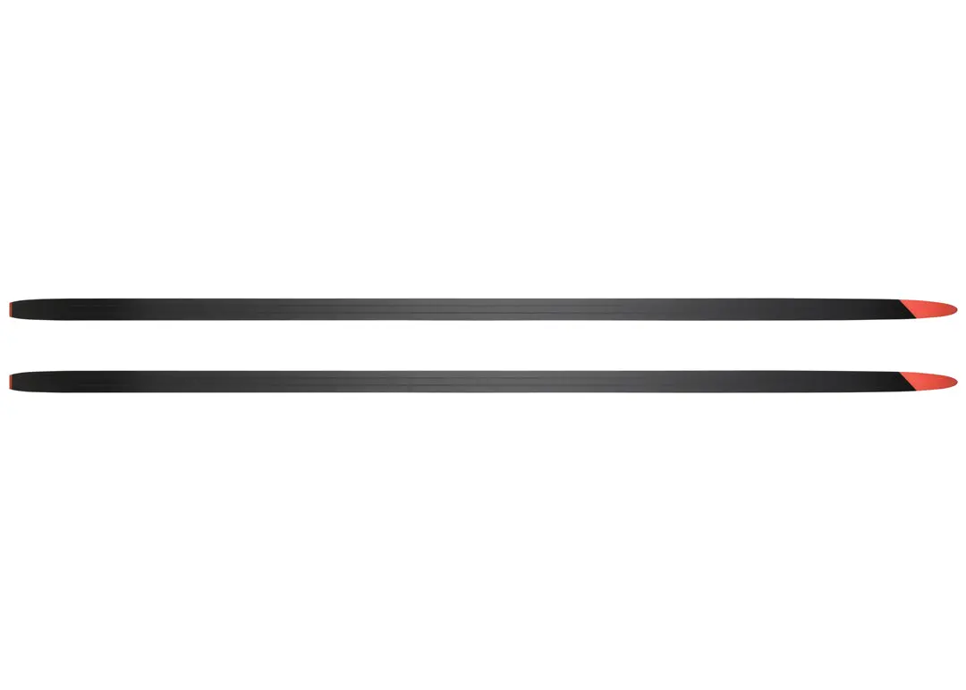 Delta Sport Skating R-Skate Ski 2