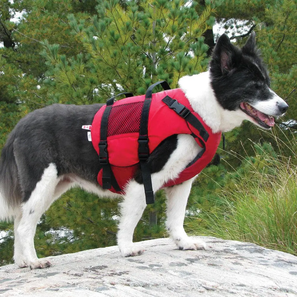 Salus Skippy Dog Vest 3