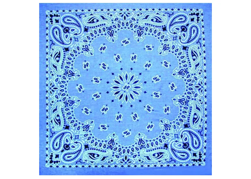 Usa Paisley Bandana 1