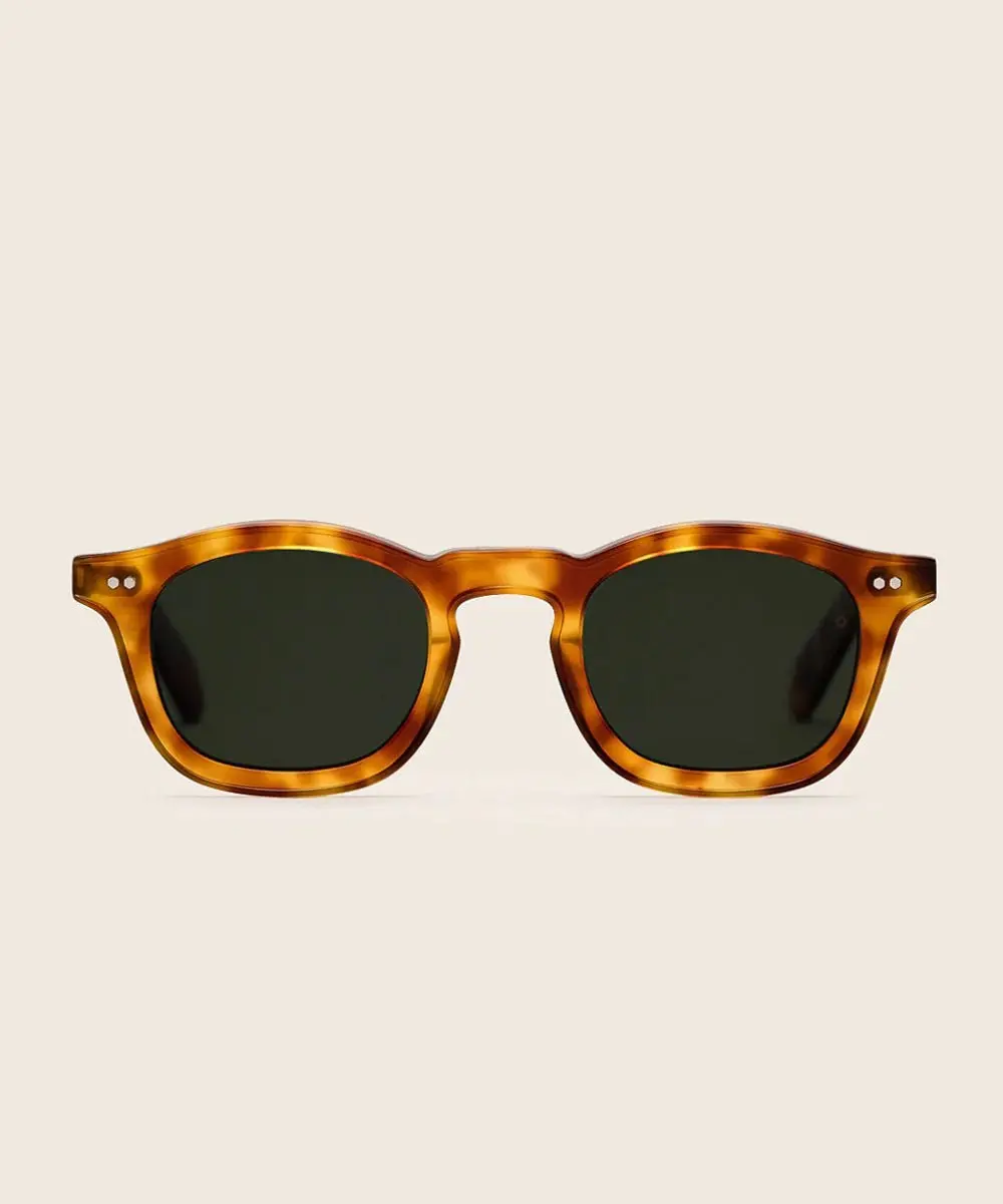 Carousel Sunglasses 4