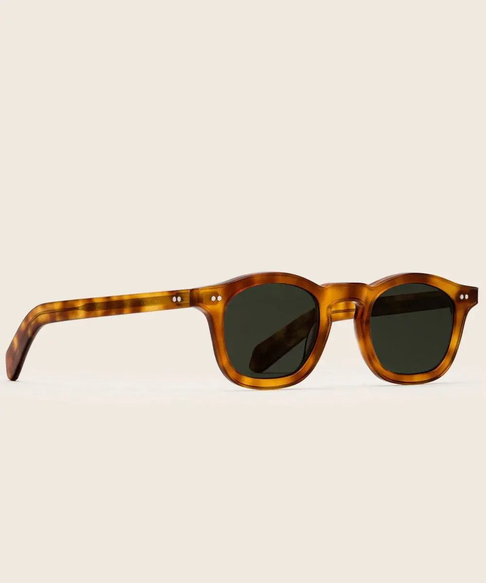 Carousel Sunglasses 5