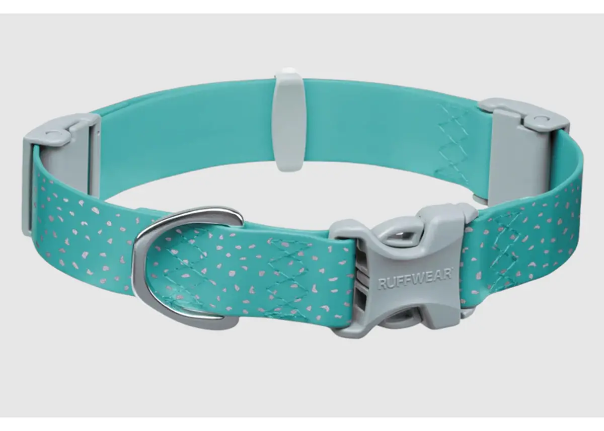 Confluence Waterproof Dog Collar 1