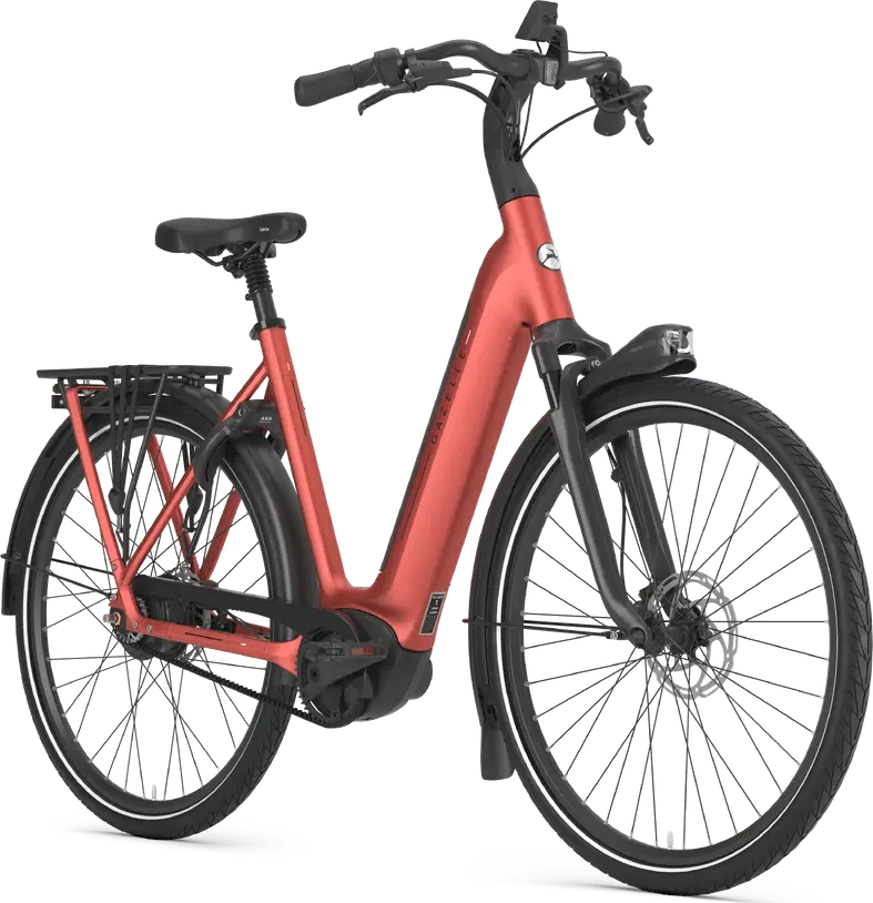 Gazelle Arroyo C380 Elite 1