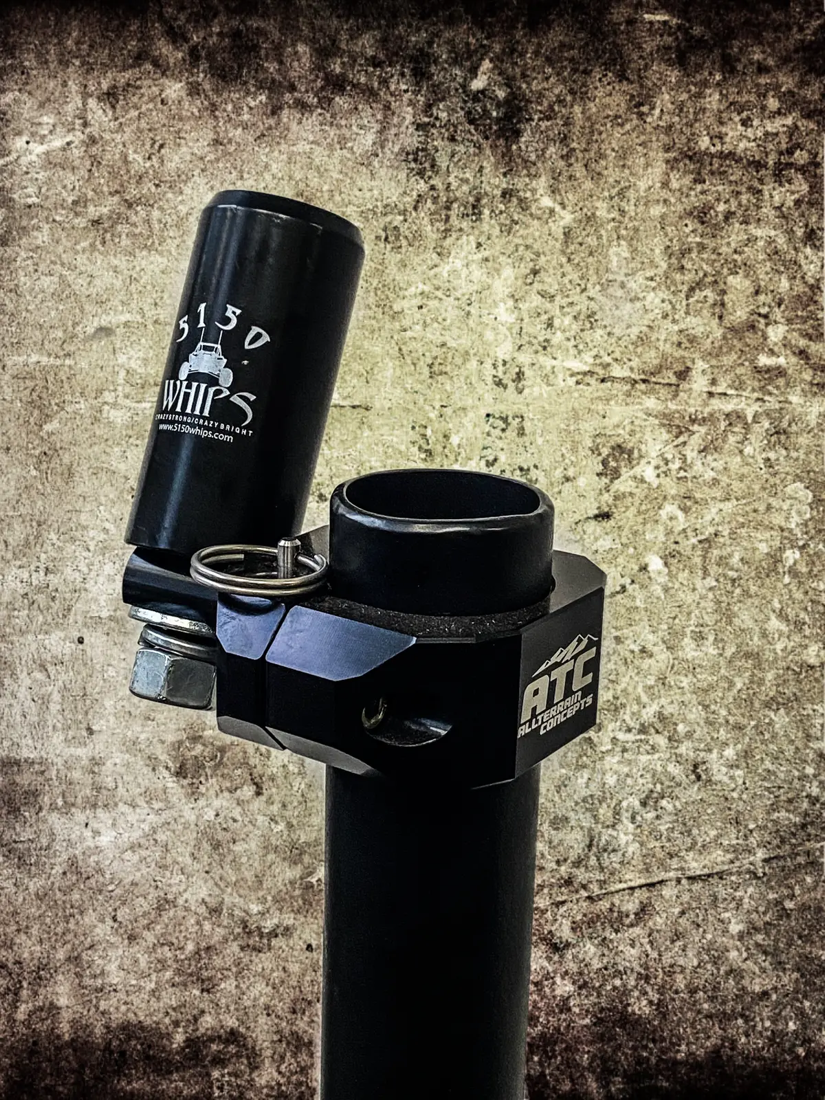 Billet Whip Mount 4