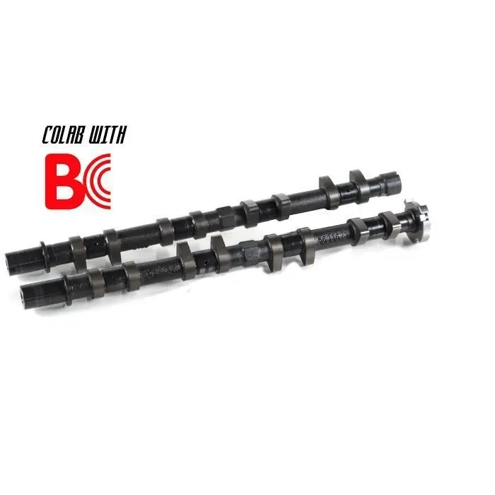 Bikeman Bc High Performance Camshafts - Pro R 1