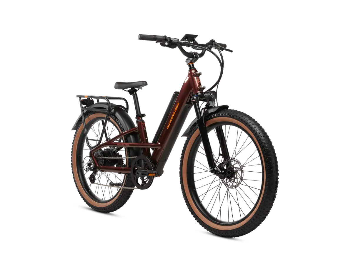 Radster Trail Off-Road Electric Bike 1