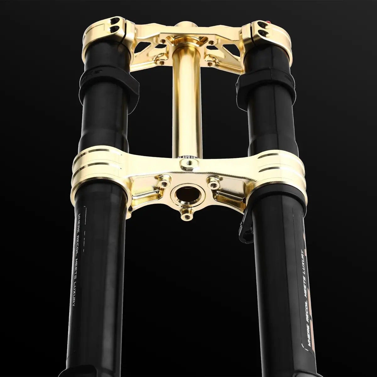 Rfloxa Hawk31 Max (Gold) 5