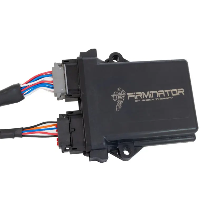 Shock Therapy Firminator 1