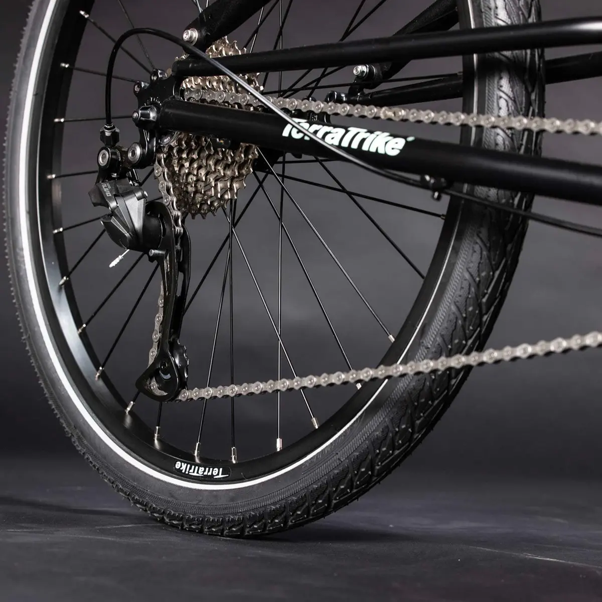 Terratrike Gran Tourismo X18 3