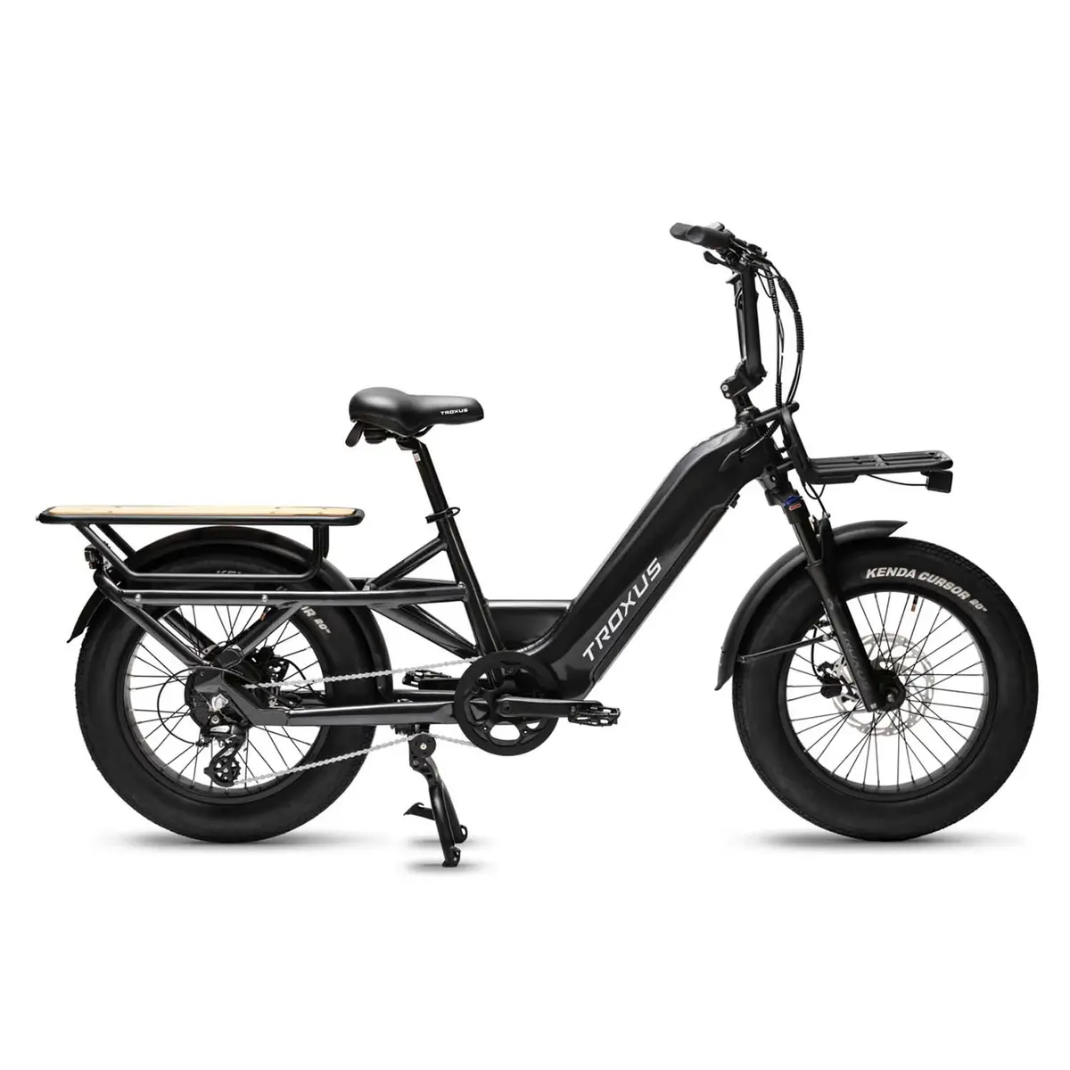 Troxus Lynx Cargo 20" Fat Tire Ebike, 750 Watt, Charcoal, One Size 1