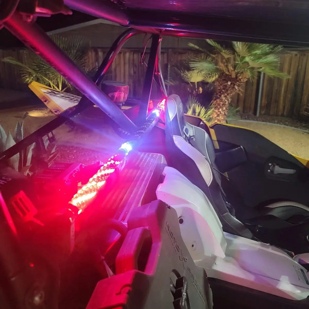 5150 Whips - Interior Whip 1